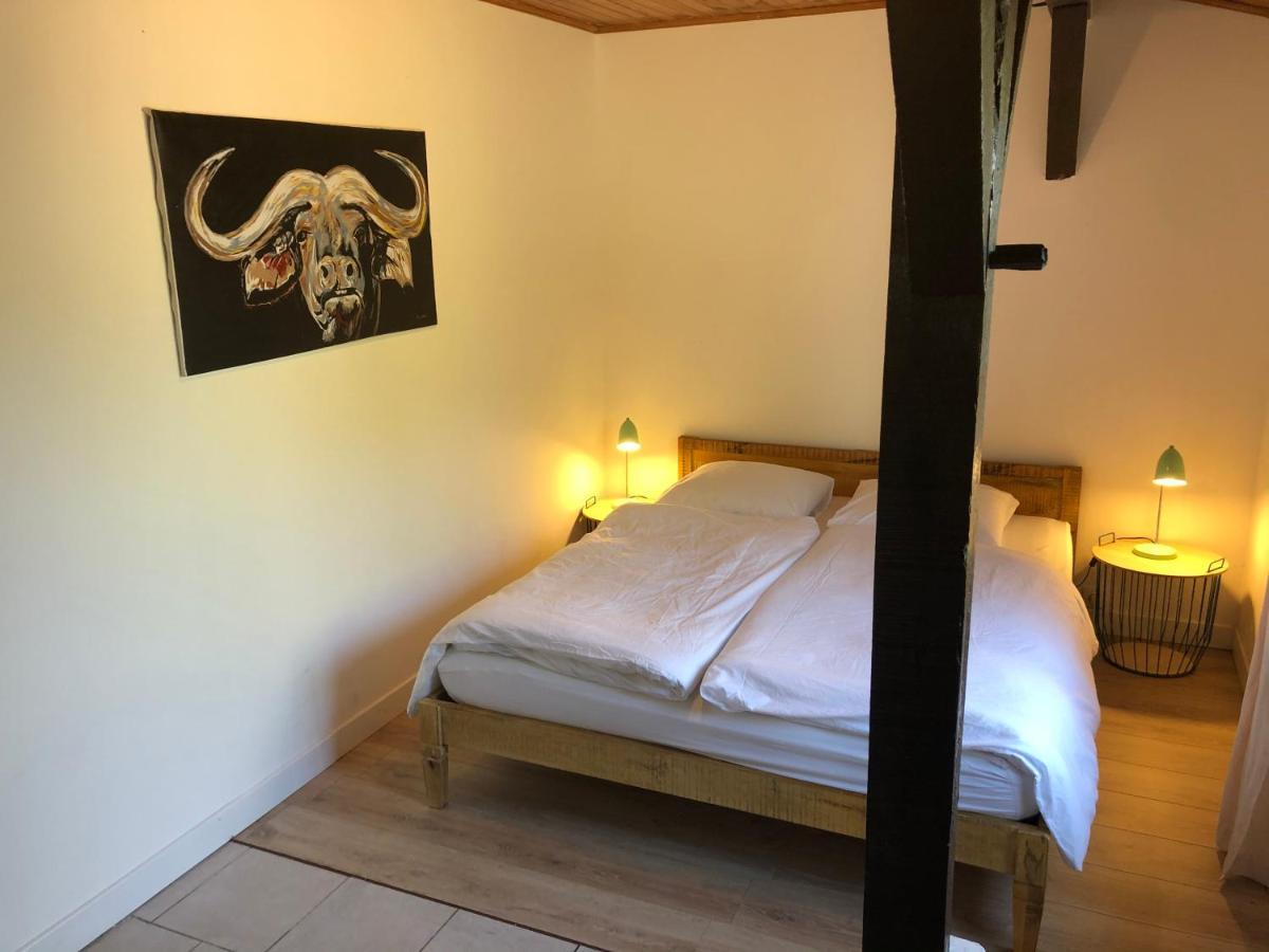 Villa Orcas Léon Esterno foto