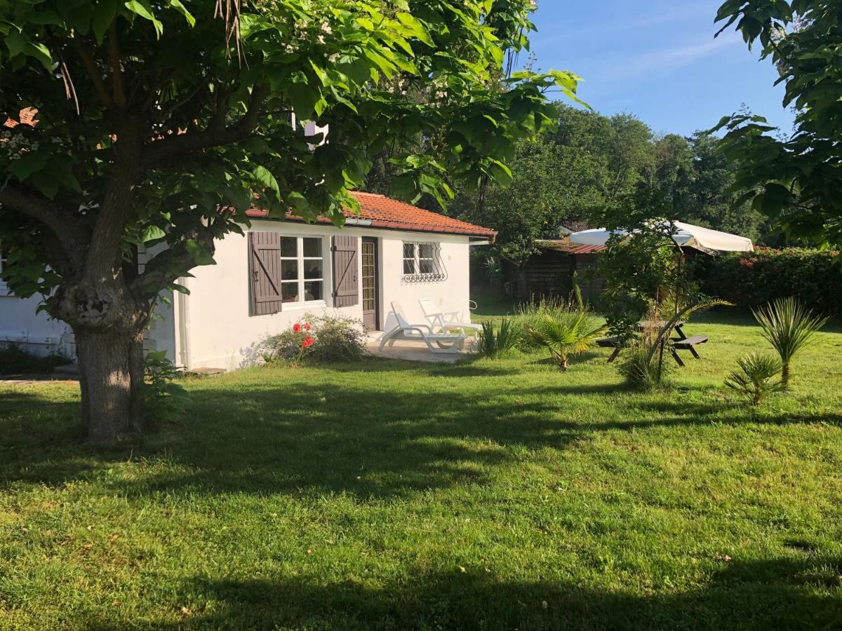 Villa Orcas Léon Esterno foto