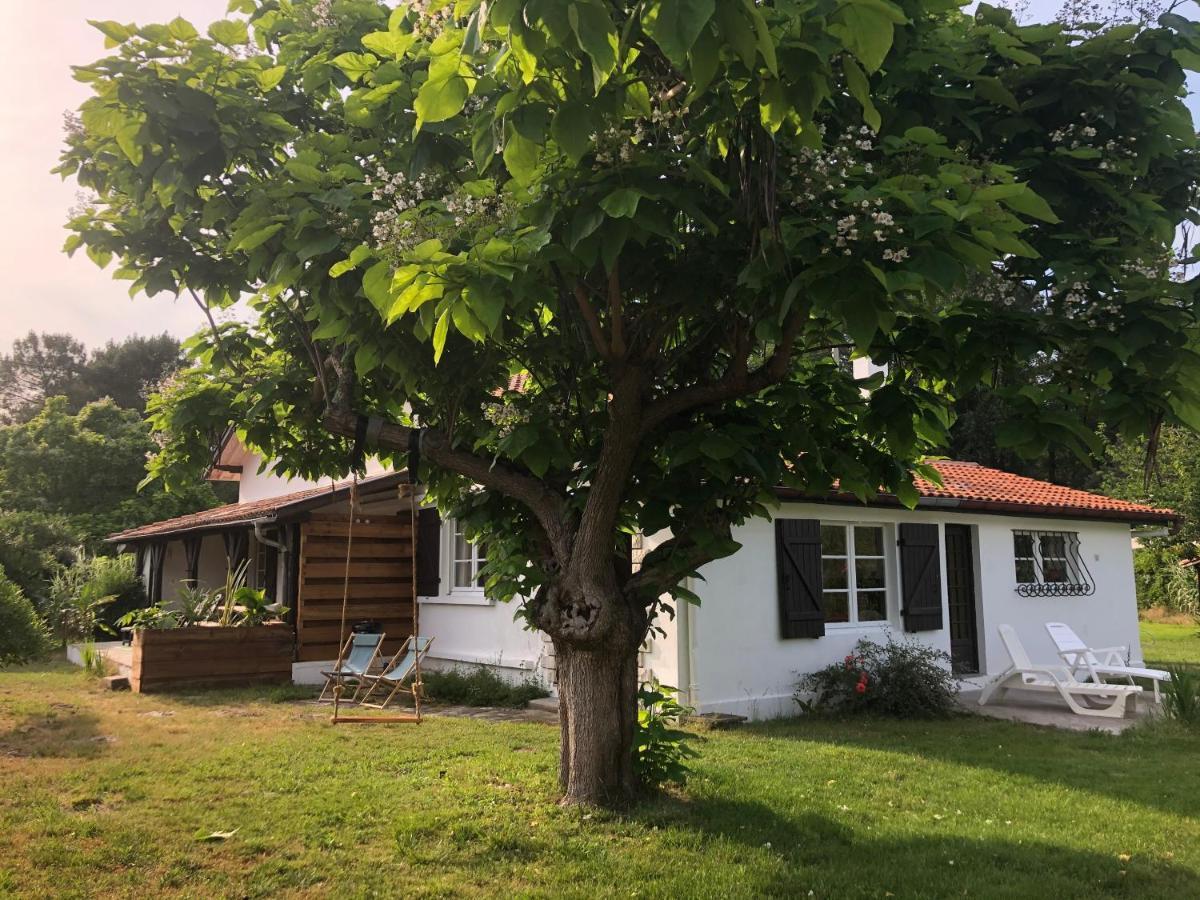 Villa Orcas Léon Esterno foto