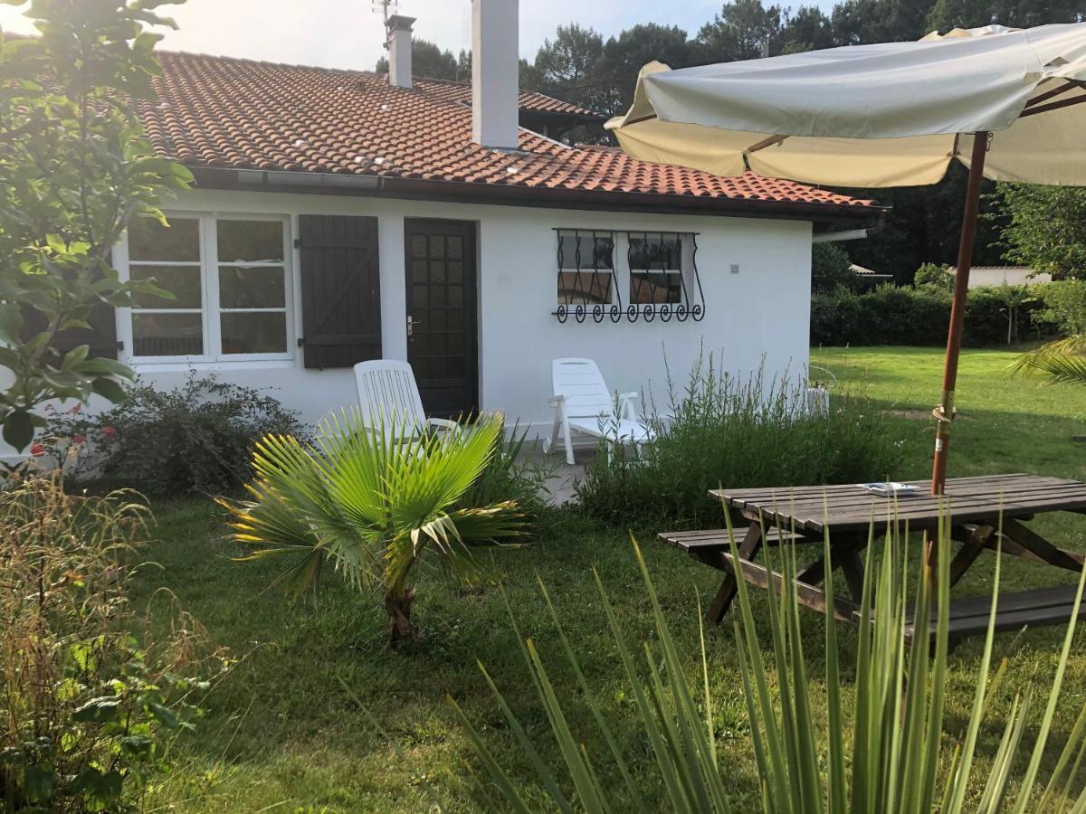 Villa Orcas Léon Esterno foto
