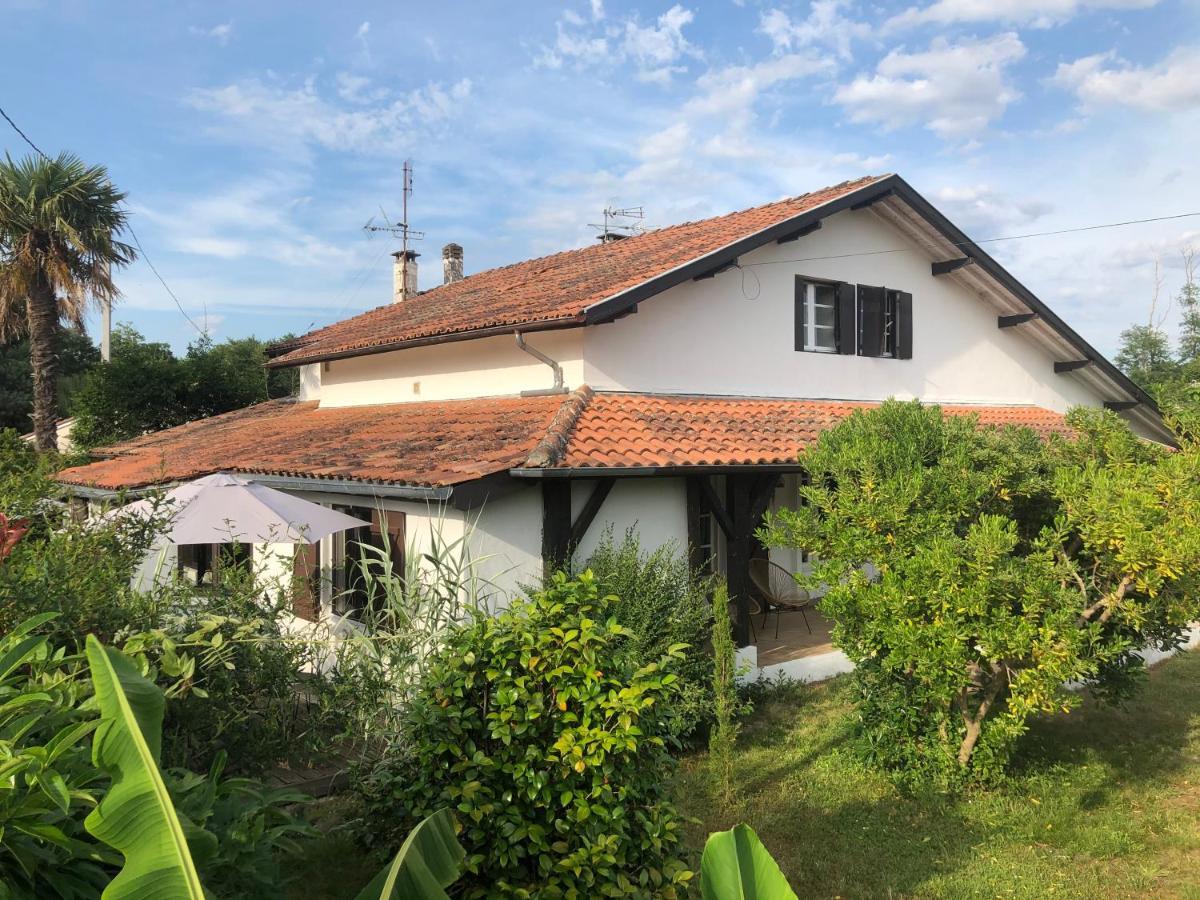 Villa Orcas Léon Esterno foto
